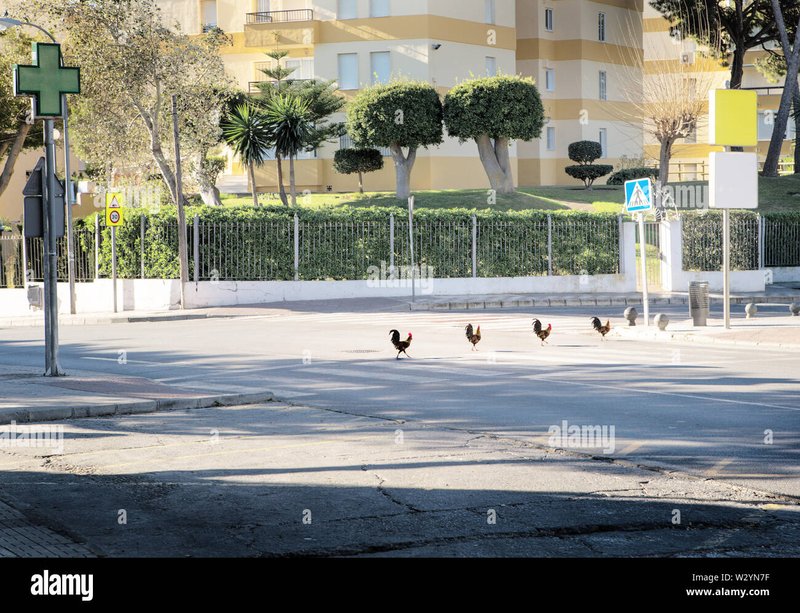 Descubre las Excitantes Ofertas del Chicken Road Casino en España, chicken road oficial
